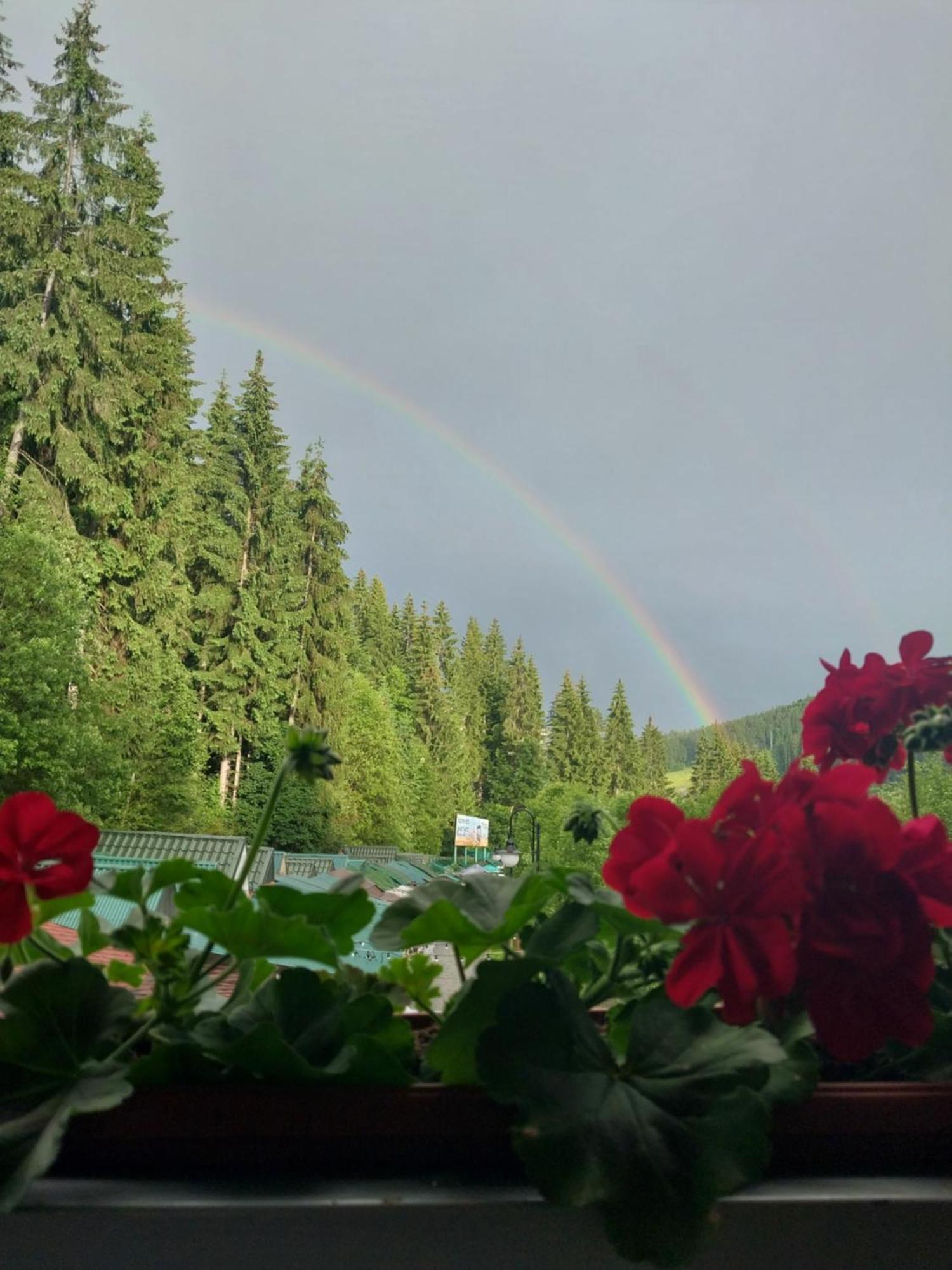 Iron Bridge Hotel Bukovel Luaran gambar