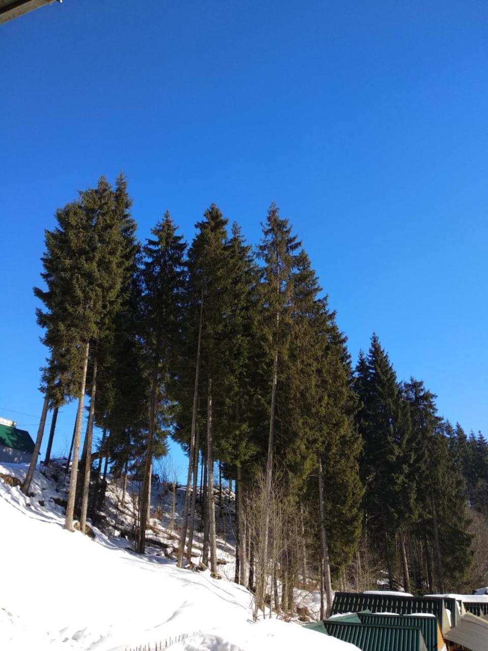 Iron Bridge Hotel Bukovel Luaran gambar