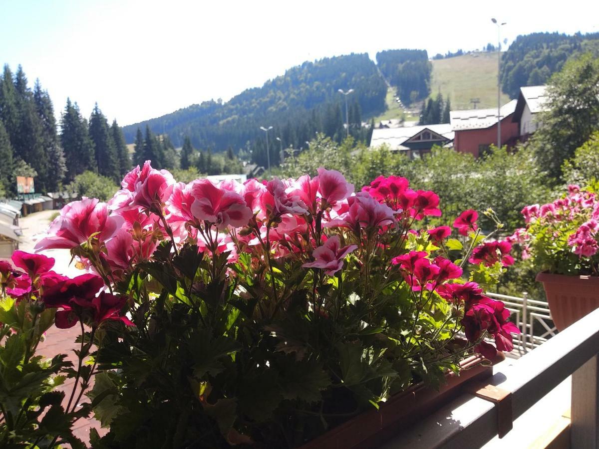 Iron Bridge Hotel Bukovel Luaran gambar