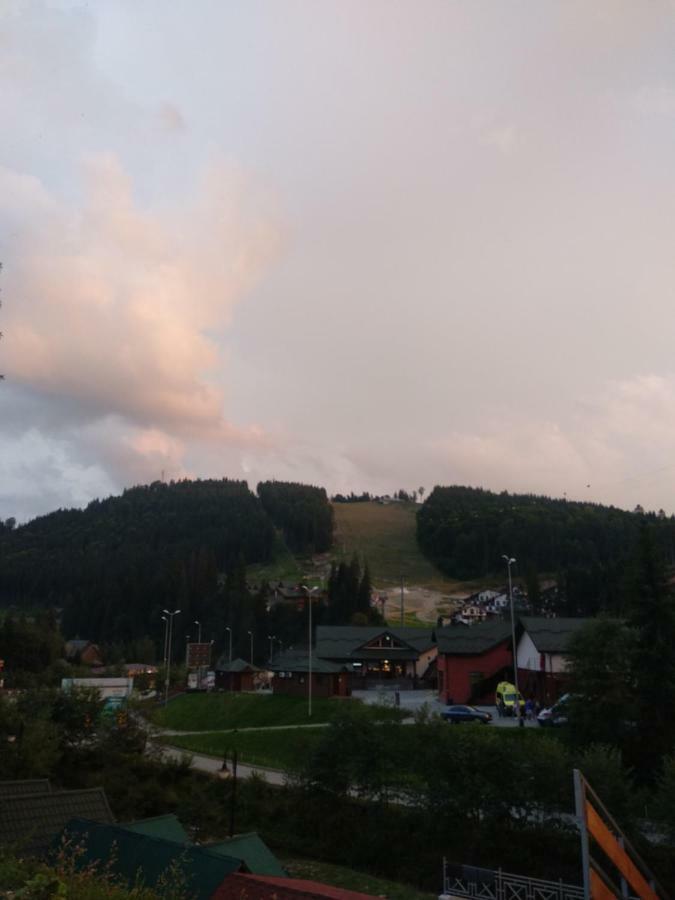 Iron Bridge Hotel Bukovel Luaran gambar
